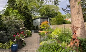 View of a backyard garden